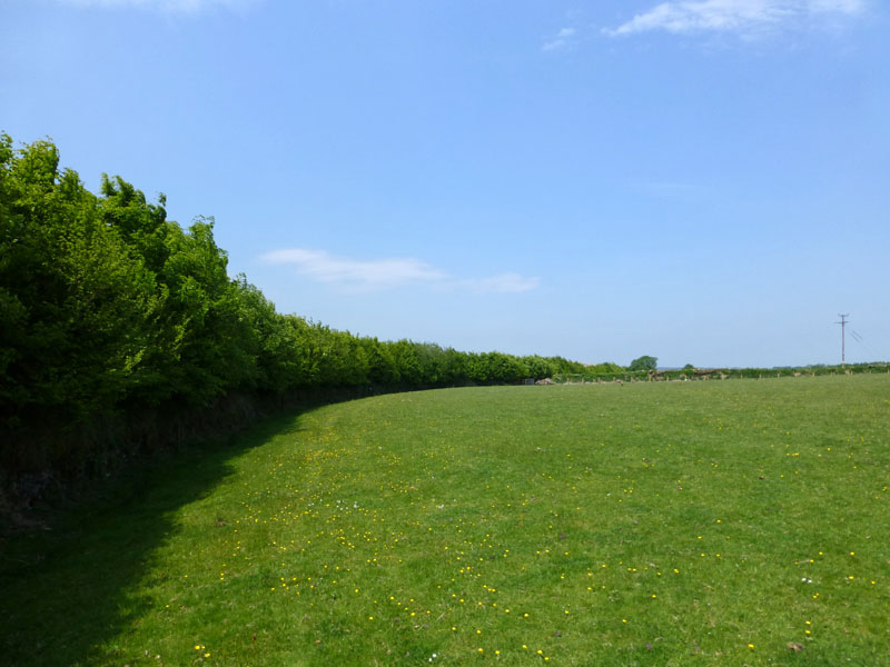 Somerset field